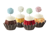 Soft Pastel Pom Poms (Includes 12)