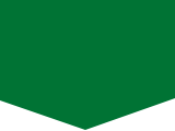 Holiday Green