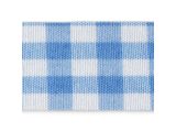 Gingham Blue